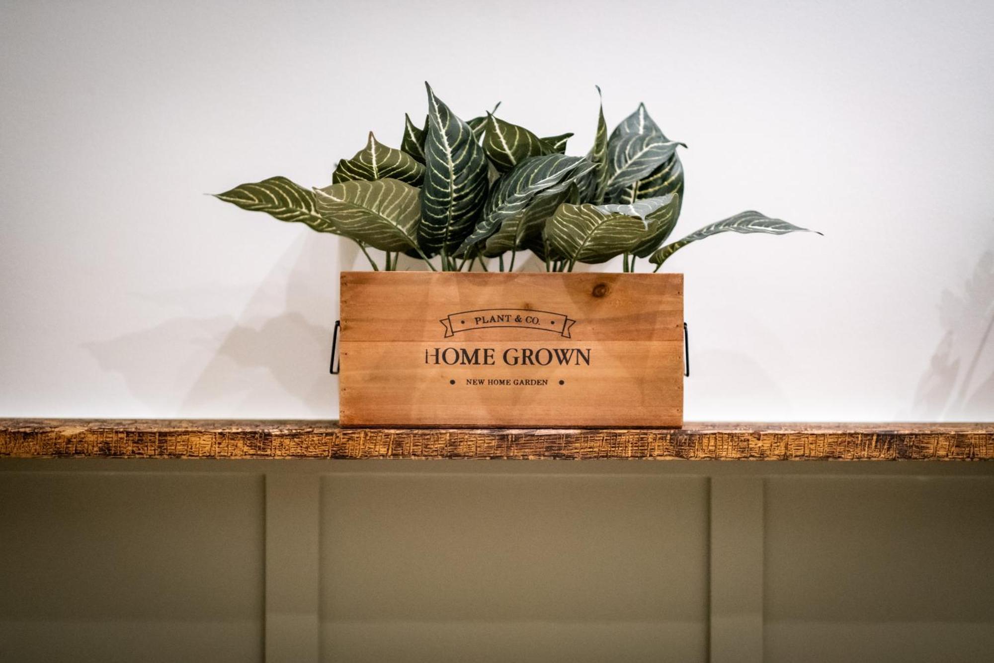 The White House Hotel Bowness-on-Windermere Exterior foto A plant in a planter